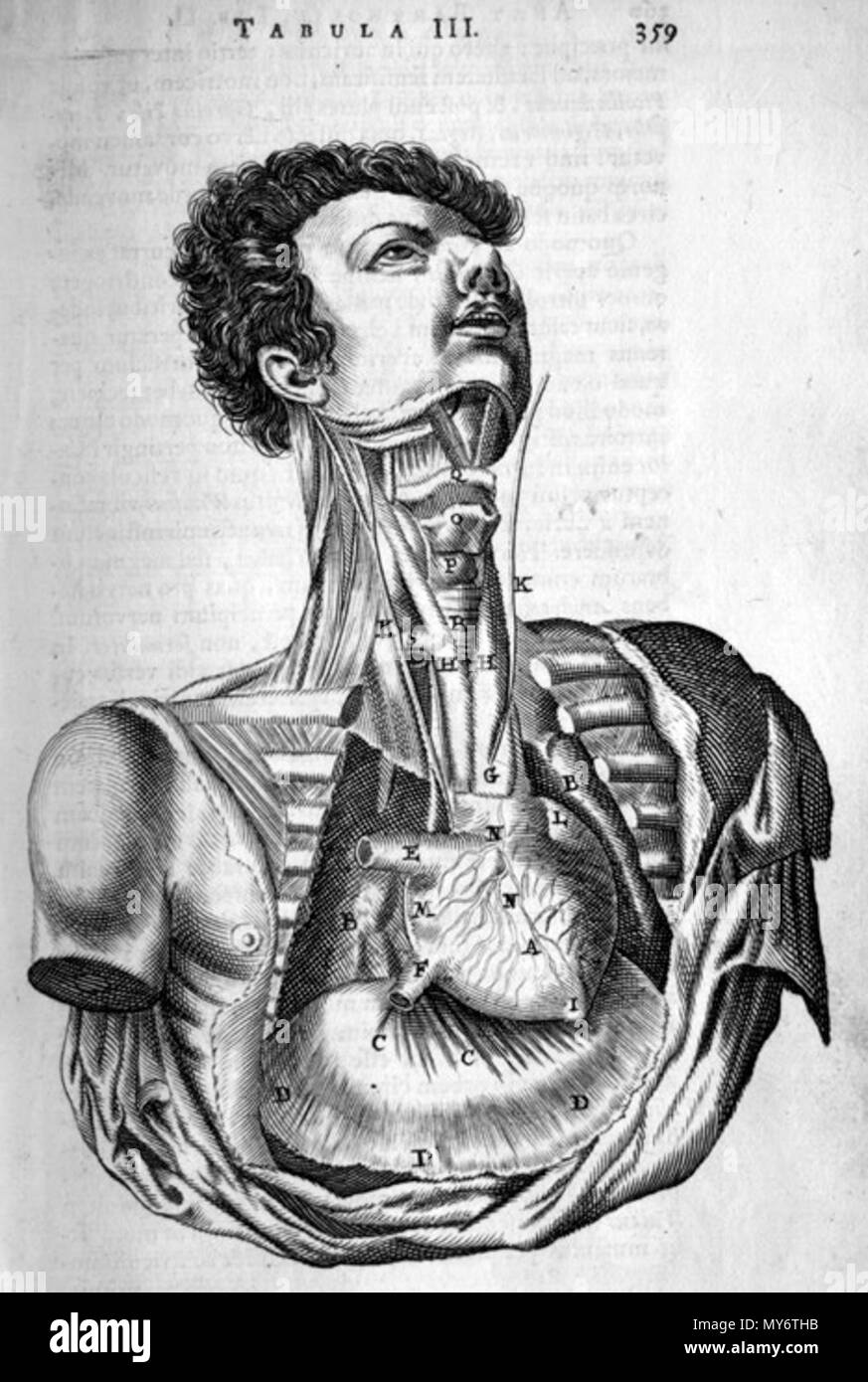 . Thomas Bartholin (1616-1680): Anatome ex omnium veterum recentiorumque observationibus, 1673. Januar 2008. McLeod 64 Bartholinischen Hals und Thorax Stockfoto