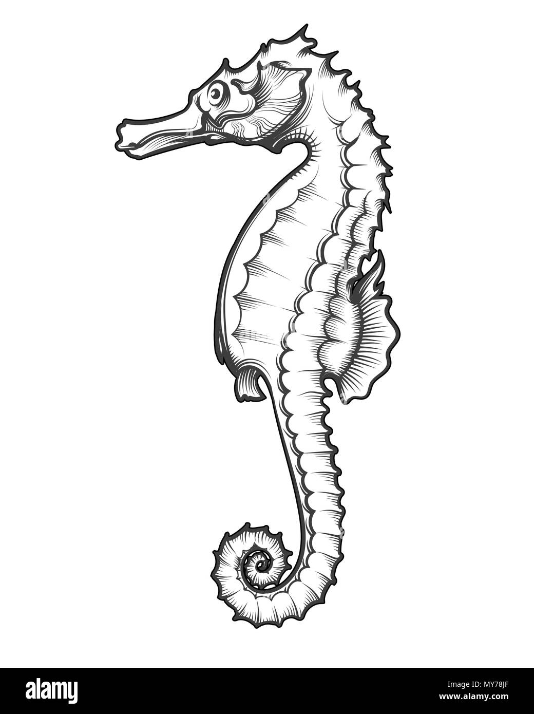 Sea Horse in Gravur Tattoo Stil gezeichnet. Vector Illustration Stock Vektor