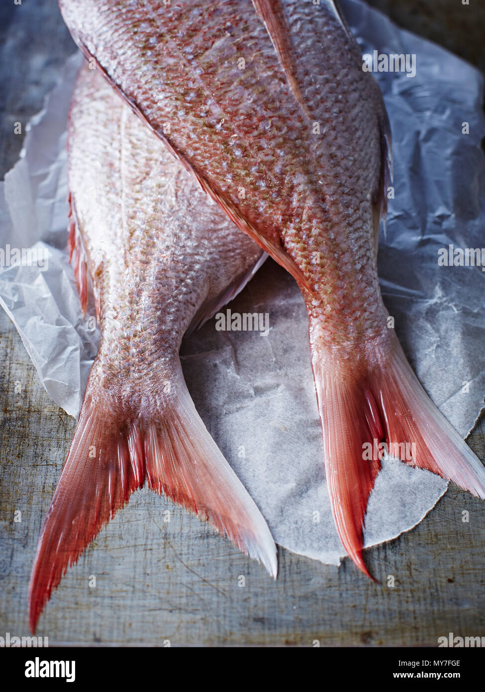 Noch immer leben in zwei ganze Schnapper auf Ölpapier, 7/8-Ansicht von oben Stockfoto