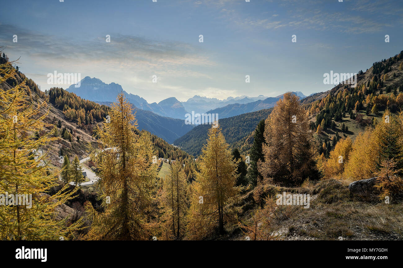 Herbstliche Farben, Dolomiten, Cortina d'Ampezzo, Venetien, Italien Stockfoto