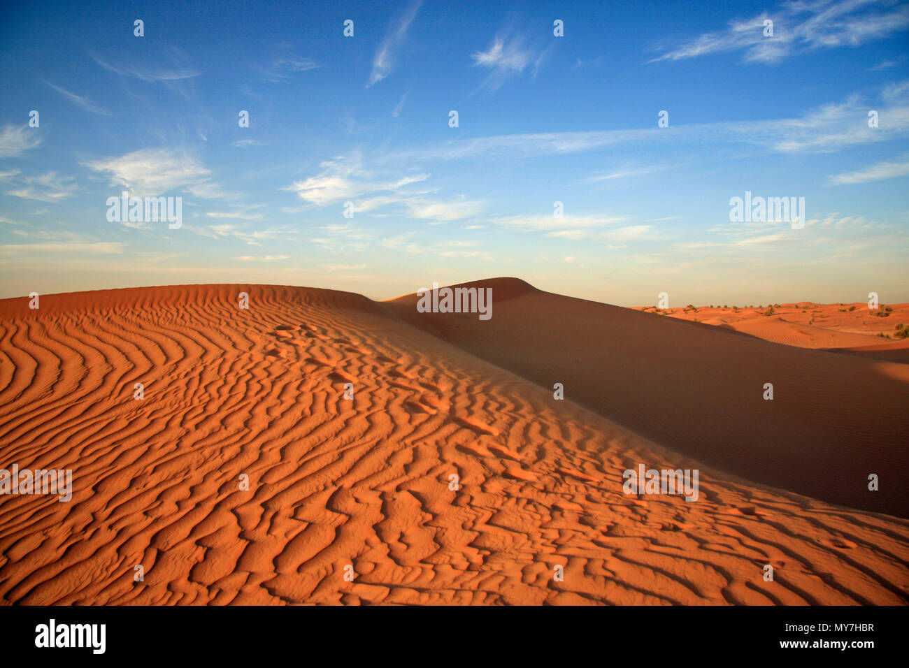 Sonnenuntergang über den Sanddünen Dubai Desert Conservation Reserve Stockfoto