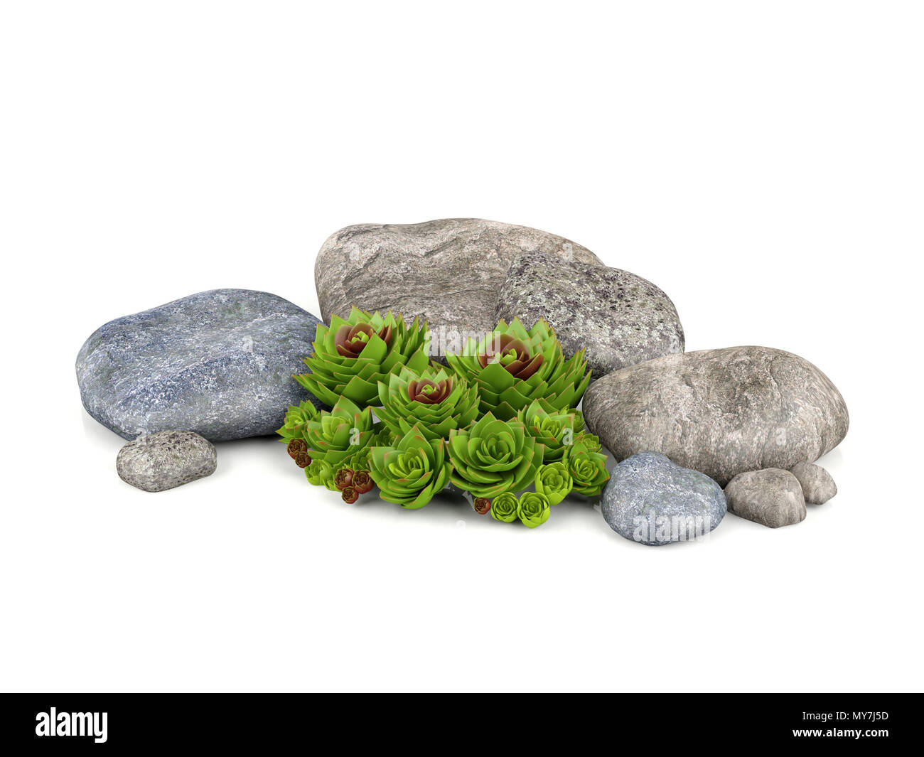 Pflanzen und Steine für den Garten Dekoration Stockfoto