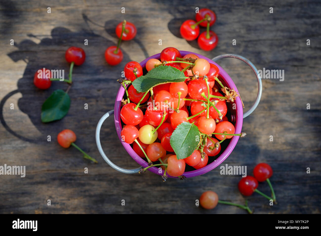 Sweet cherry in kleinen Schaufel Reif von oben auf hölzernen Tisch Stockfoto