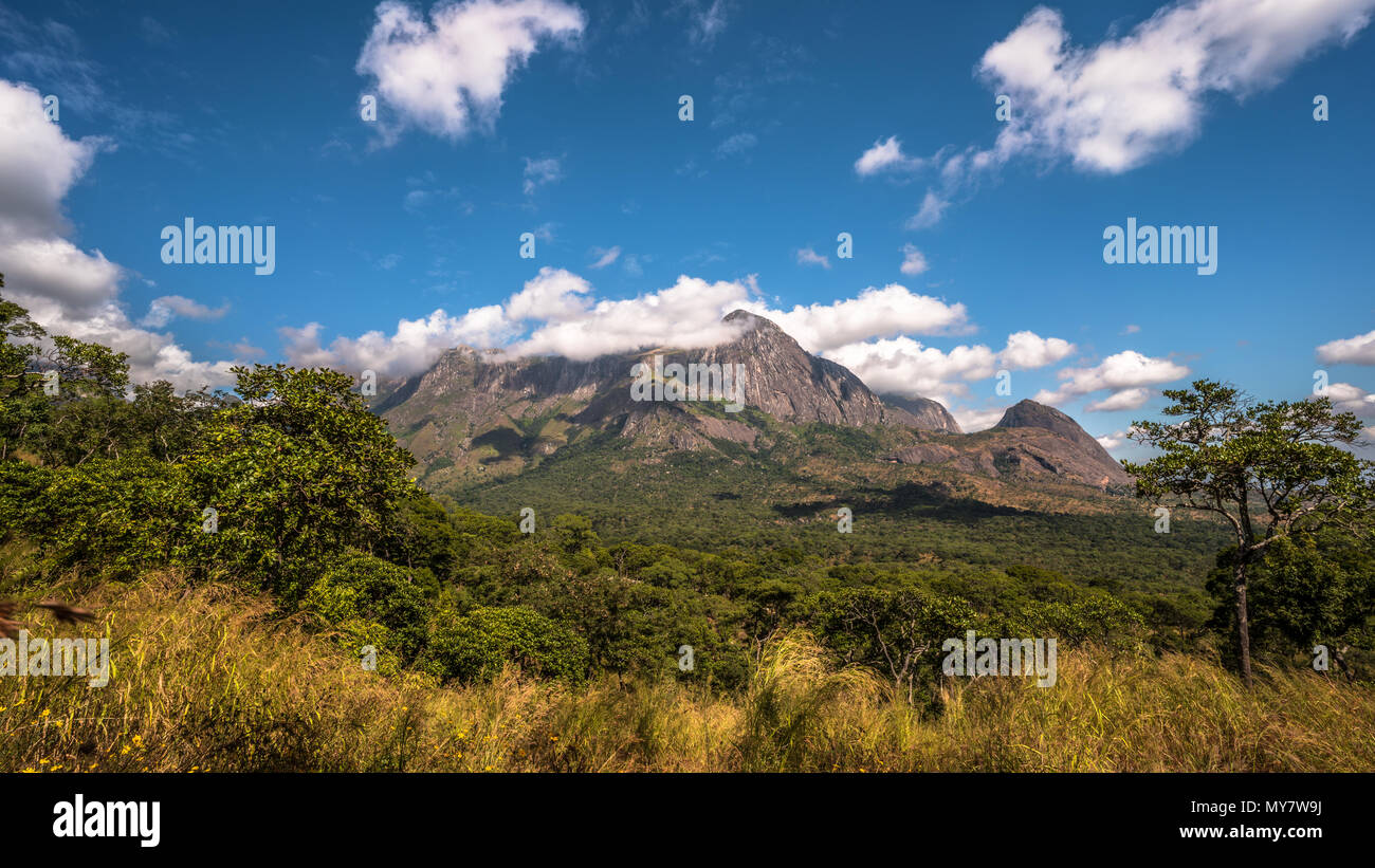 Blick Richtung Chambe peak in einem Wald im Tal unten von der Elephant Head Trail auf dem Mount Mulanje. Stockfoto