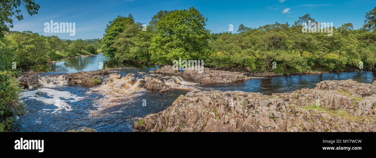 Einen Panoramablick auf den Fluss Tees betwen Low Force und High Force Wasserfälle, Teesdale, North Pennines AONB, UK aus dem Peniine Weise im Sommer Stockfoto