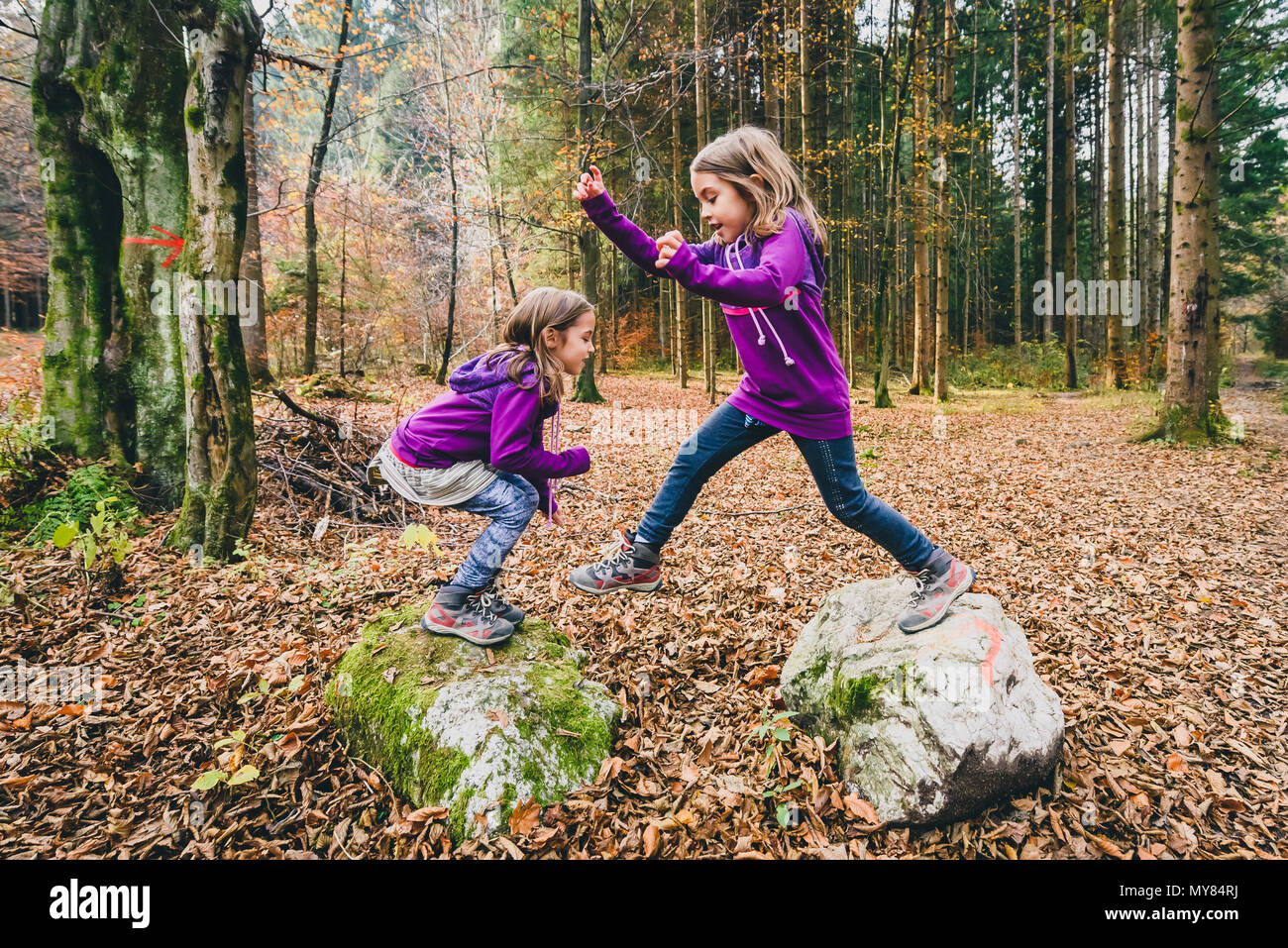 Kinder im wald -Fotos und -Bildmaterial in hoher Auflösung – Alamy