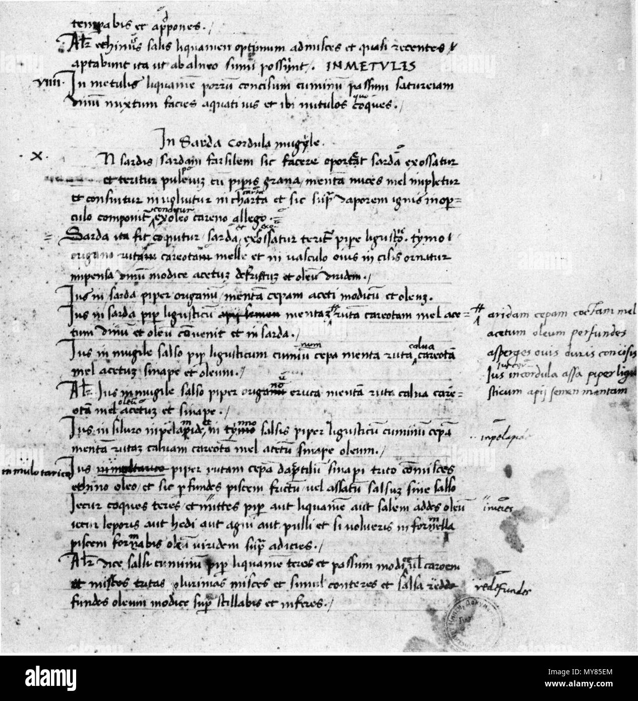 . Englisch: Pseudo-Apicius, De re coquinaria. Manuskript mit Noten von Poliziano. Sankt Petersburg, Bibliothek der Russischen Akademie der Wissenschaften, Frau 627/1 (V644), Fol. 7 r. English: Pseudo-Apicius, De re coquinaria. Handschrift mit Notizen des Humanisten Angelo Poliziano in St. Petersburg, Bibliothek der Russischen Akademie, Christian, Codex 627/1 (V644), Fol. 7 r. 15. Jahrhundert. 440 Pseudo-Apicius Pseudo-Apicius, De re coquinaria, Sankt Petersburg Frau 627 1. Stockfoto