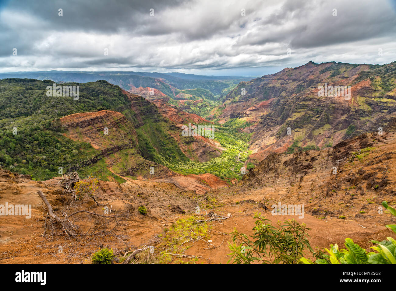Waimea Canyon von Puu Hinahina Aussichtspunkt Stockfoto