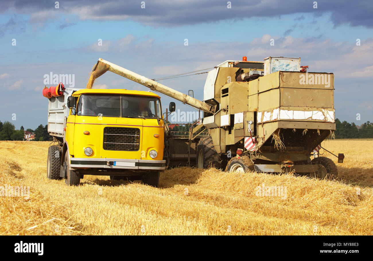 Feldhäcksler Maschine und Lkw, Lkw bei der Ernte Stockfoto