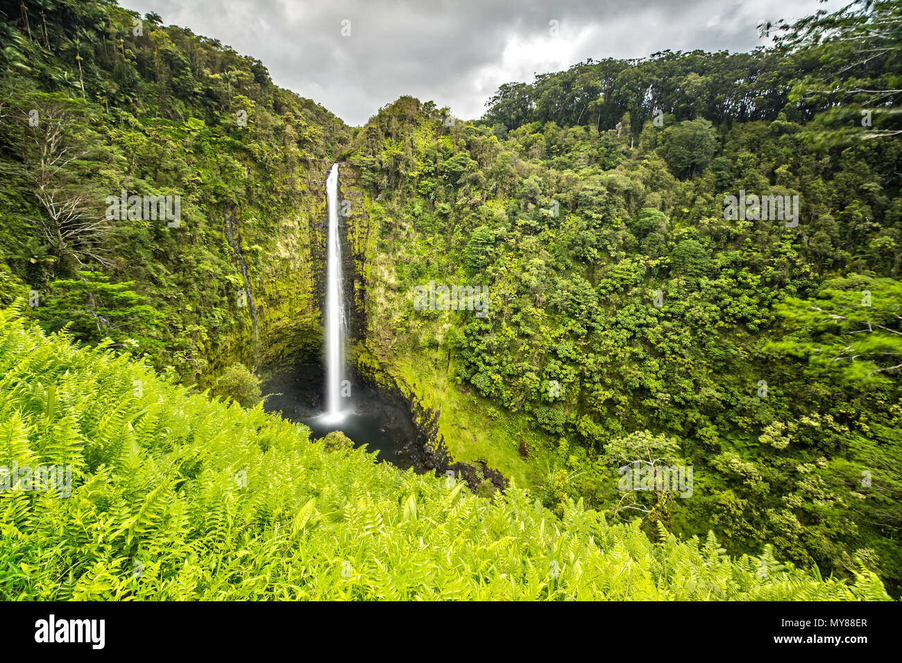 Akaka Wasserfälle auf Big Island, Hawaii Stockfoto