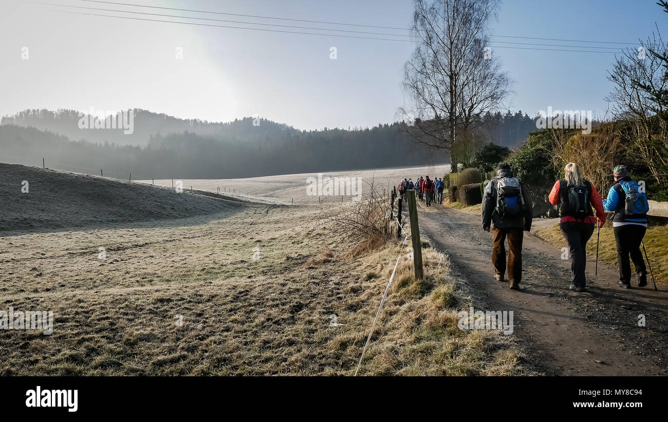 Bei der beliebten Bergtestveranstaltung, die jedes Jahr im März stattfindet, wandern Menschen durch Wiesen rund um Wehlen (Sachsen). Stockfoto