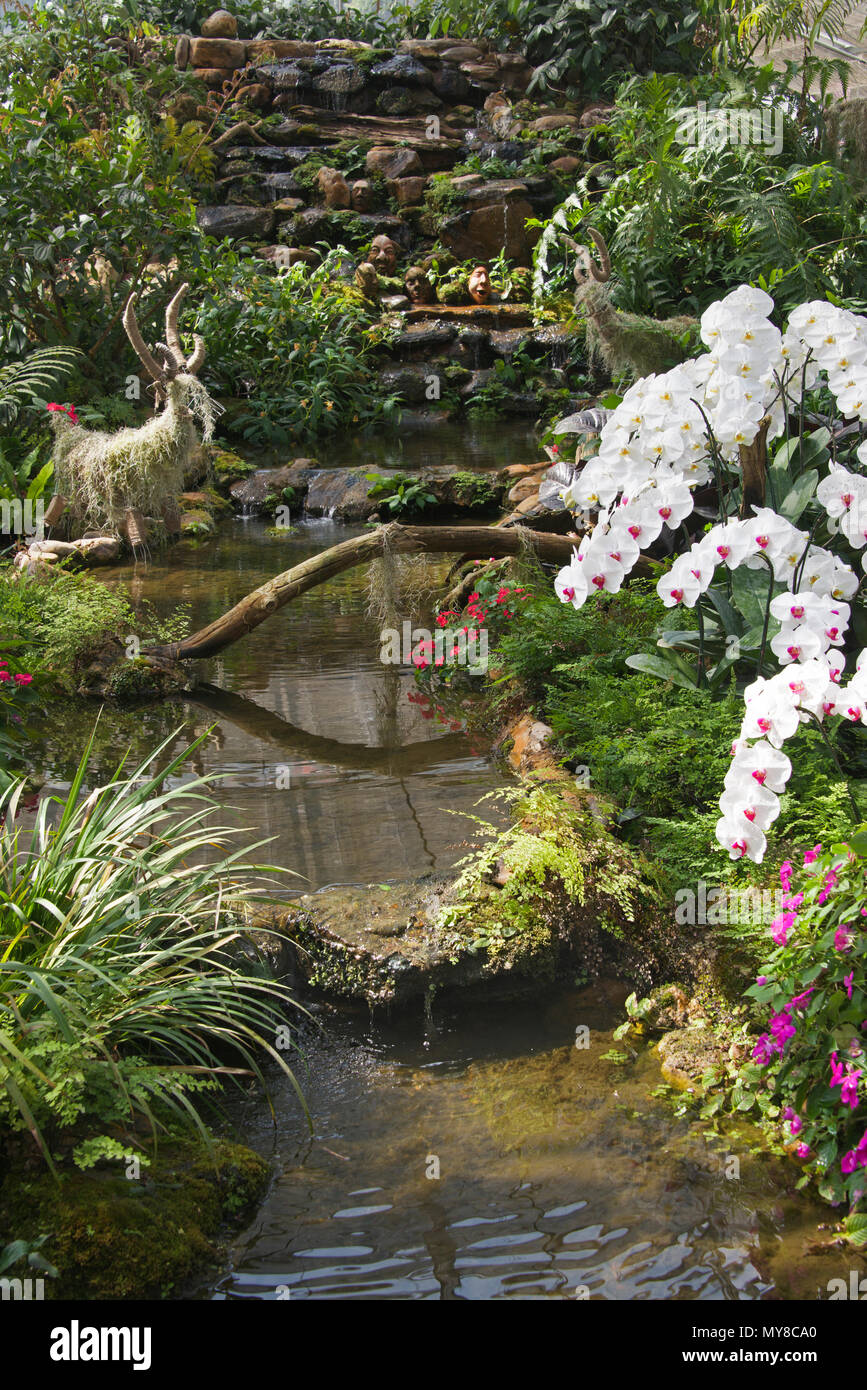 Stream mit Orchideen und tropischen Büschen Queen Sirikit Botanischer Garten Mae Rim Bezirk Nord Thailand Stockfoto
