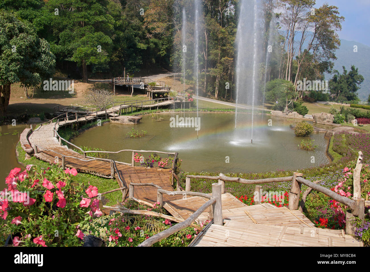 Holzsteg und Lake Queen Sirikit Botanischer Garten Mae Rim Bezirk Nord Thailand Stockfoto