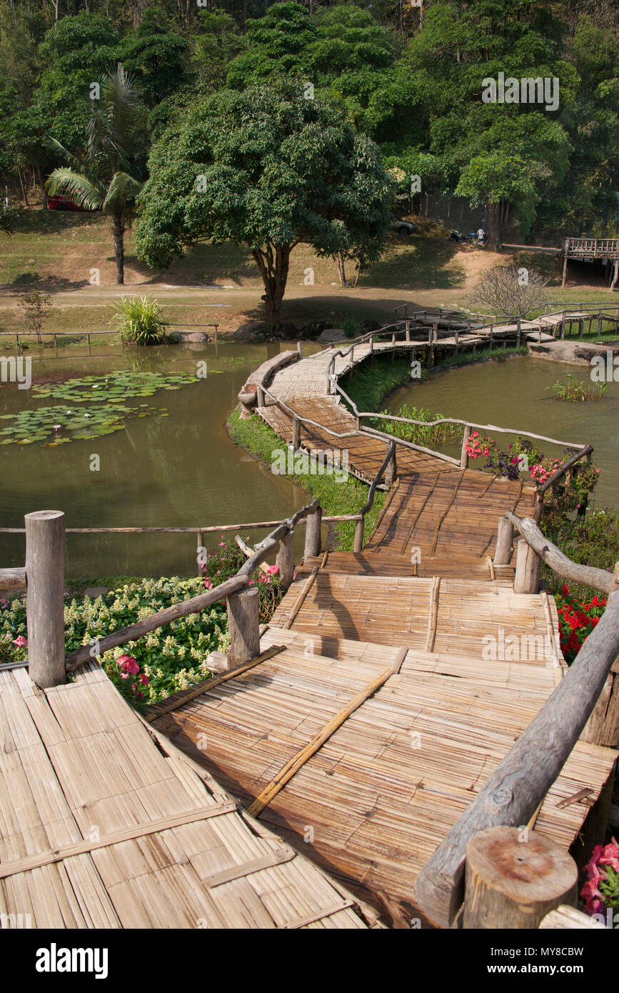 Holzsteg Queen Sirikit Botanischer Garten Mae Rim Bezirk Nord Thailand Stockfoto