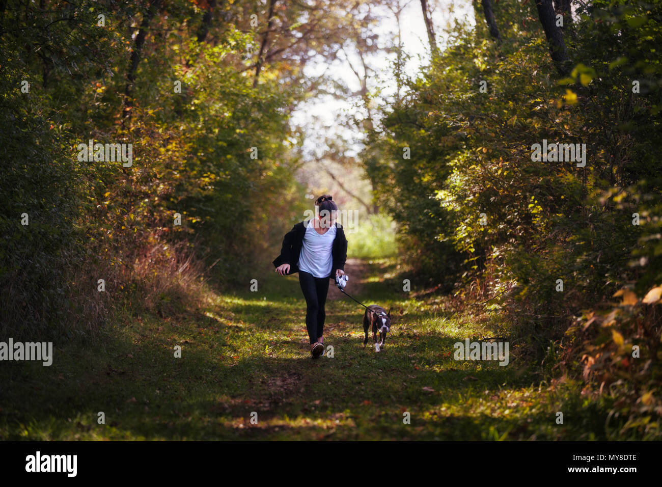 Junge Mädchen zu Fuß Hund in ländlicher Umgebung Stockfoto