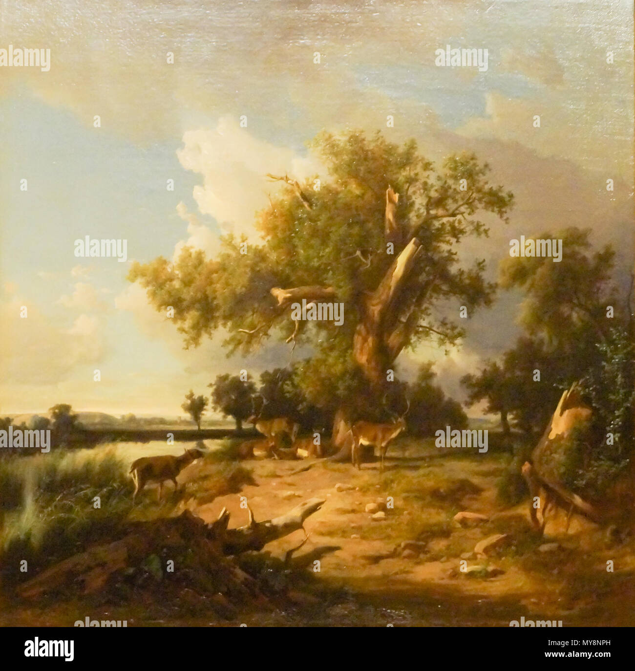 . Englisch: Paesagio - Cascine di Pisa von András Markó. 2 Juni 2016, 20:18:43. András Markó 404 Paesagio - Cascine di Pisa Stockfoto