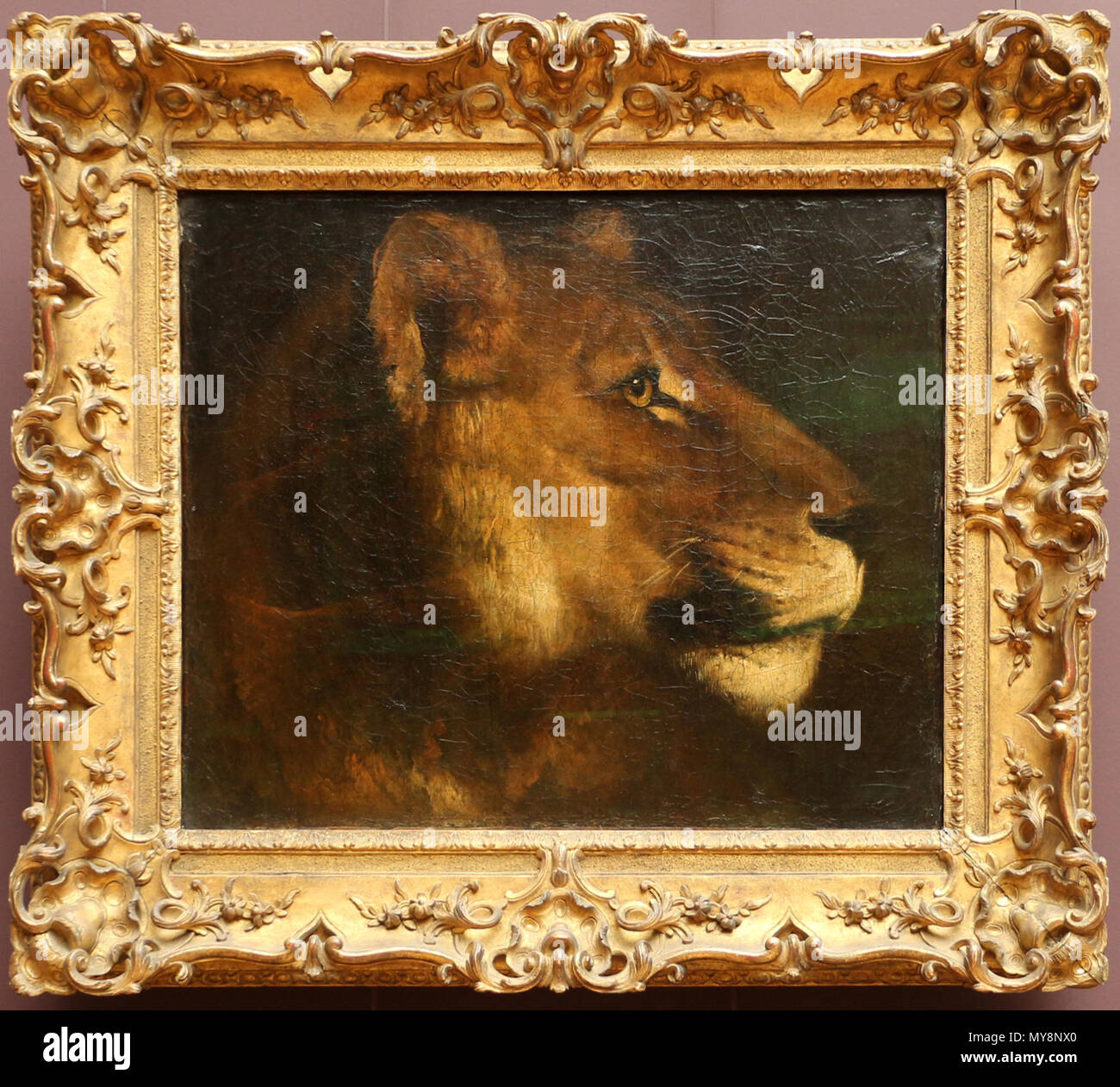 529 Théodore Géricault, tetsa di Leone, 1819 ca Stockfoto