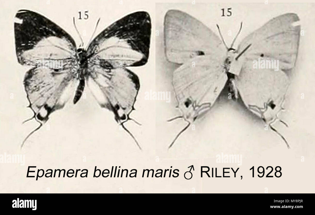 Norman Riley Mathematician Dokumentierte beschreibung -Fotos und -Bildmaterial in hoher Auflösung ...