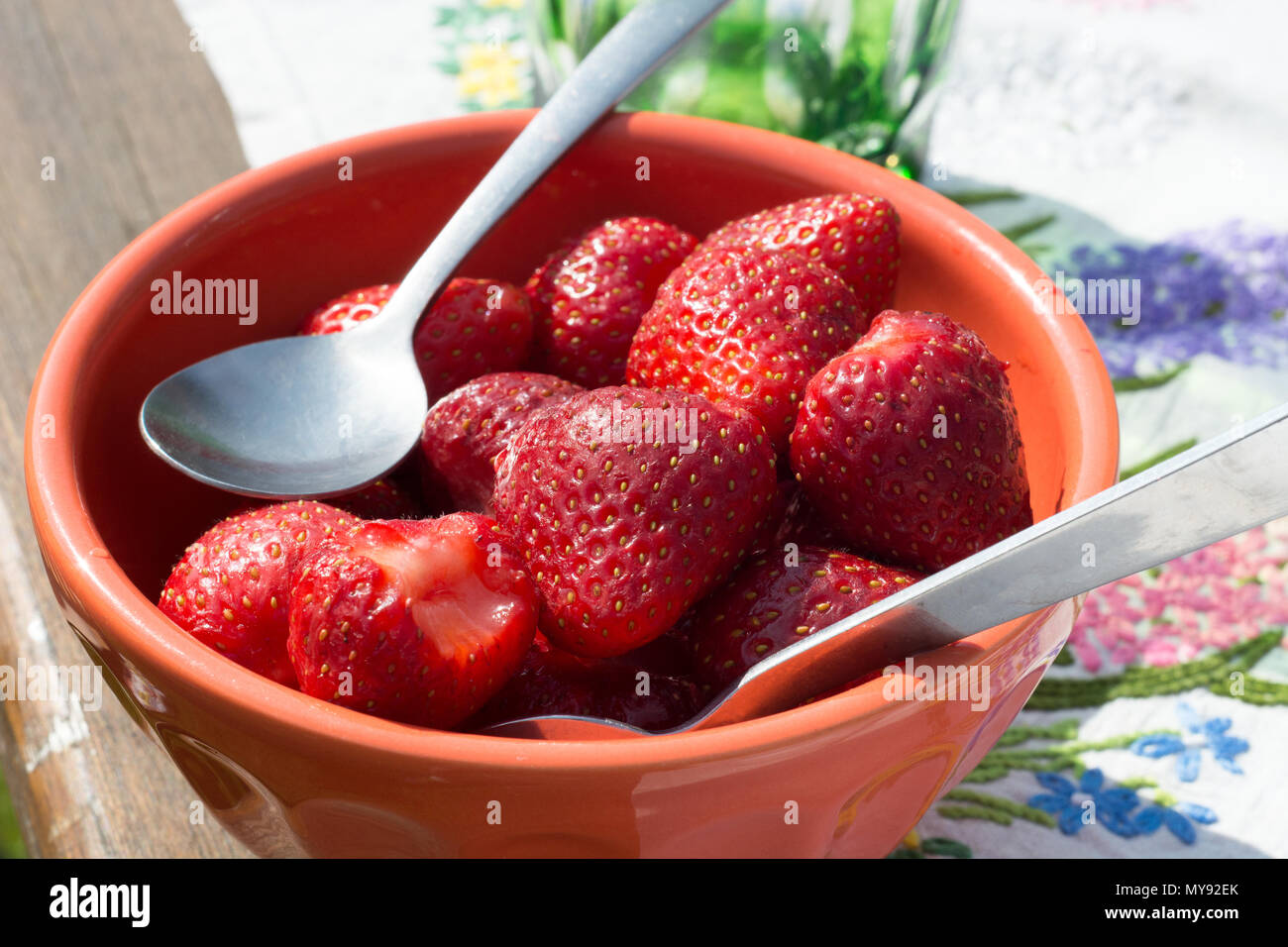 Appetitlich schale frische Erdbeeren am Mittag auf einem Gartentisch Stockfoto