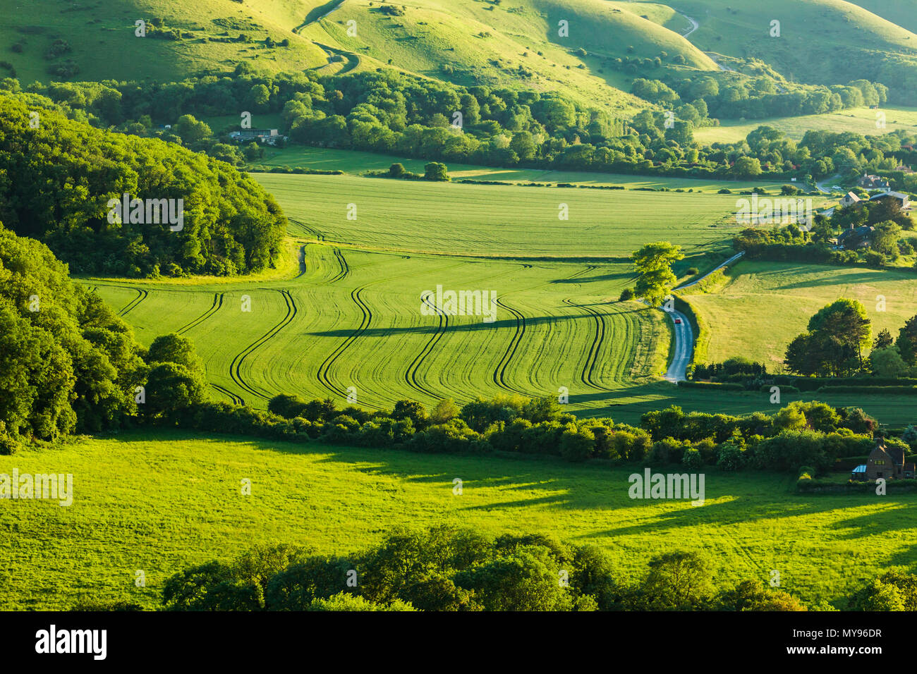 Frühlingsabend in South Downs National Park, West Sussex, England. Stockfoto