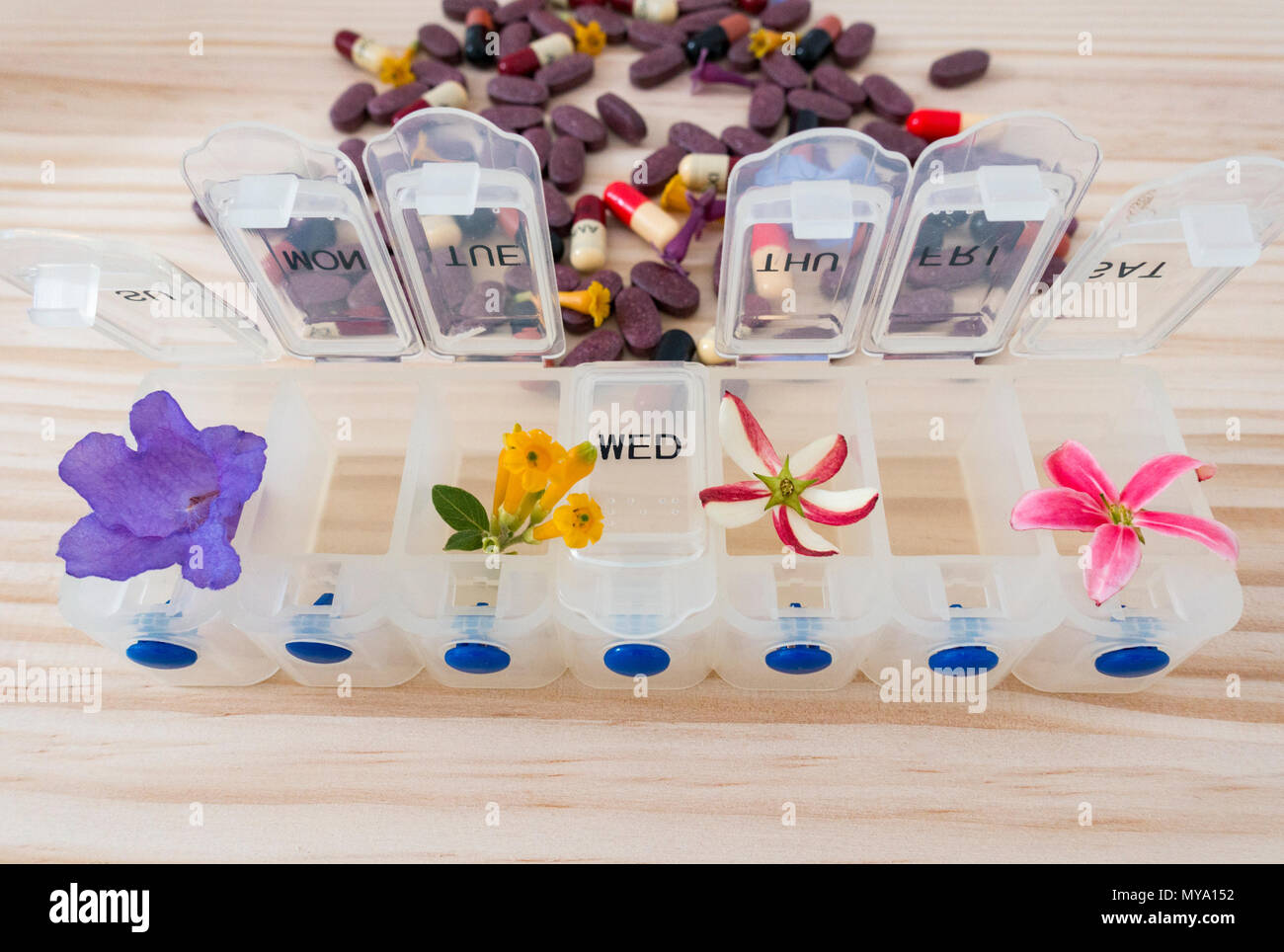 Homöopathie Konzept Bild: wöchentliche Pille Veranstalter mit Blumen und mit Antibiotika und Cranberry Tabletten im Hintergrund. Stockfoto