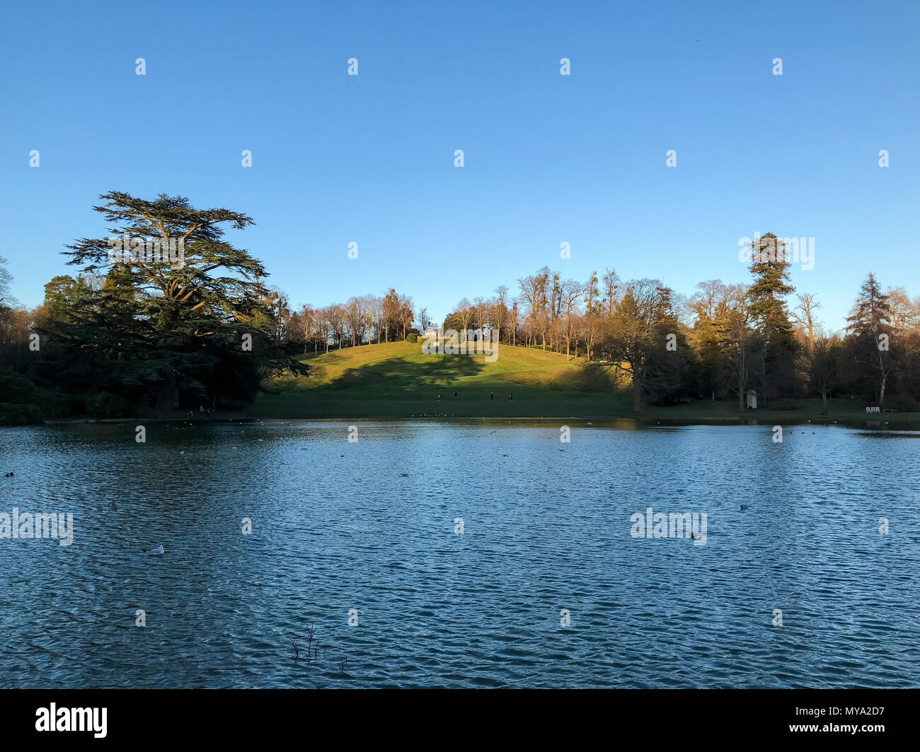 Claremont Landscape Gardens, Surrey Stockfoto