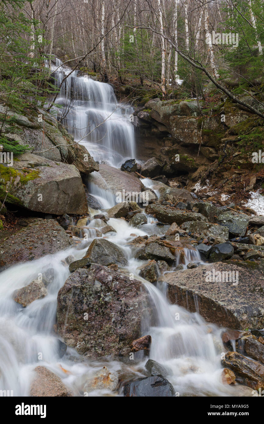 Ein Saisonaler Wasserfall in einem alten Erdrutsch Pfad auf der Westflanke des Mount Lafayette in Franconia Notch, New Hampshire in den Frühlingsmonaten. Stockfoto