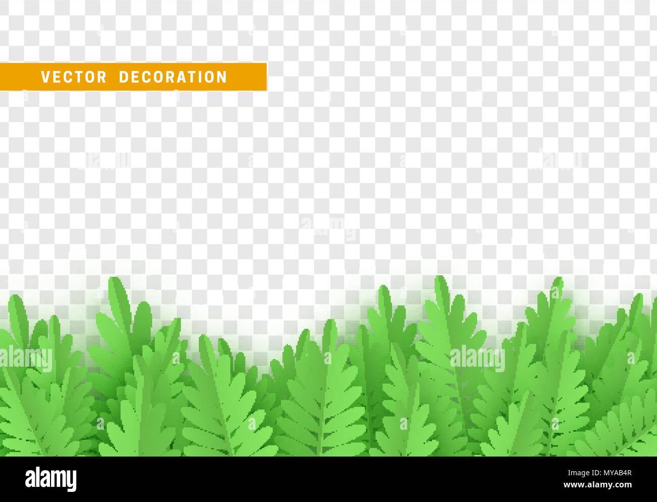 Gras, form Blätter Grenze mit transparenten Hintergrund isoliert. Vector Illustration Stock Vektor