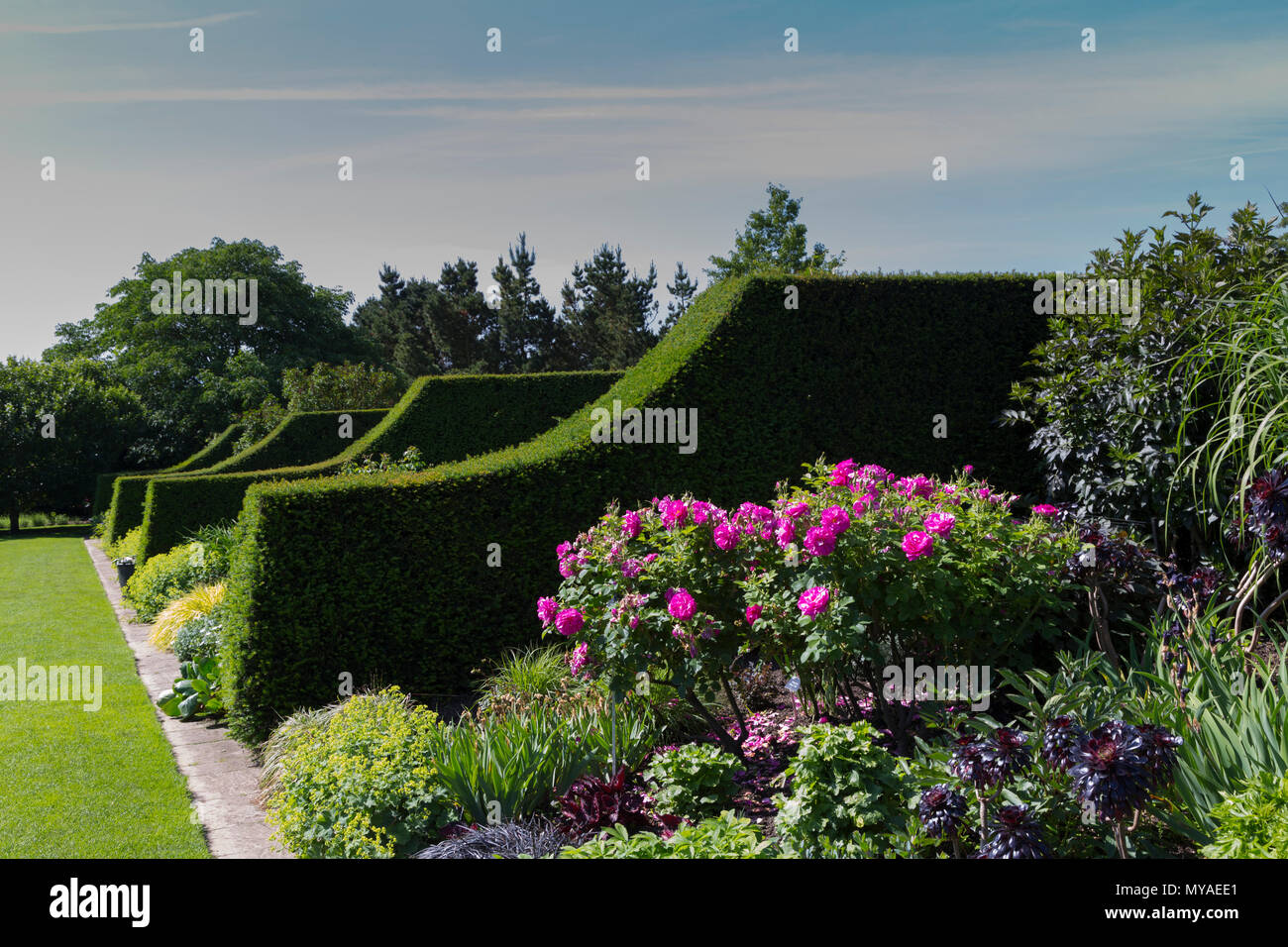 RHS Gärten Hyde Hall in Essex auf eine herrliche Sommer Morgen Stockfoto