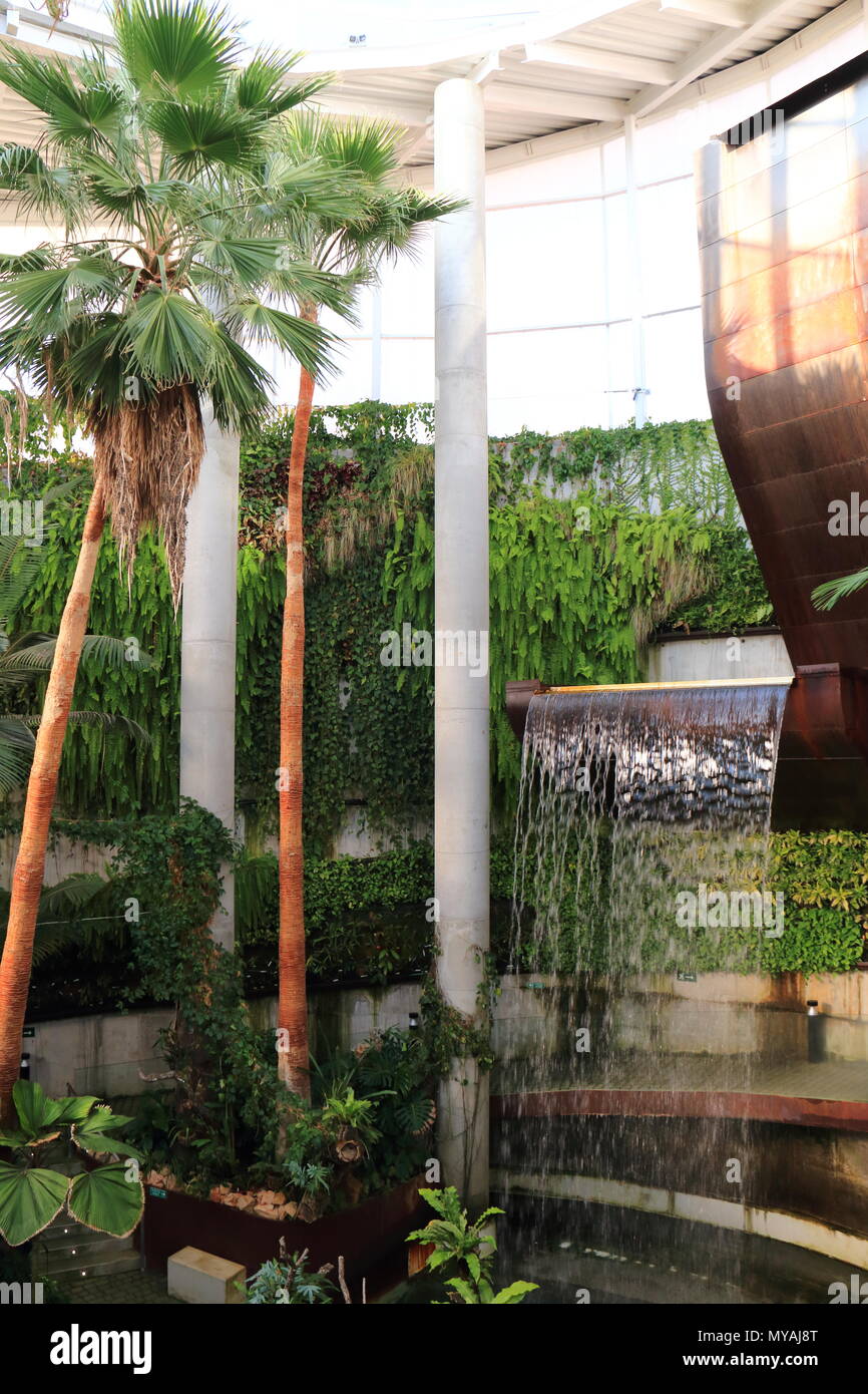 Botanischer garten malaga Fotos und Bildmaterial in hoher Auflösung