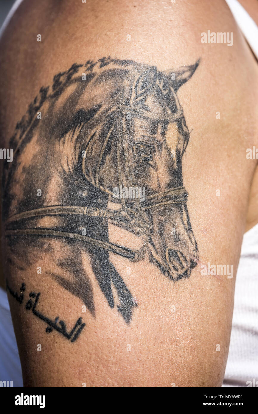 Pferd-Tattoo auf dem Arm der Frau. Deutschland Stockfoto