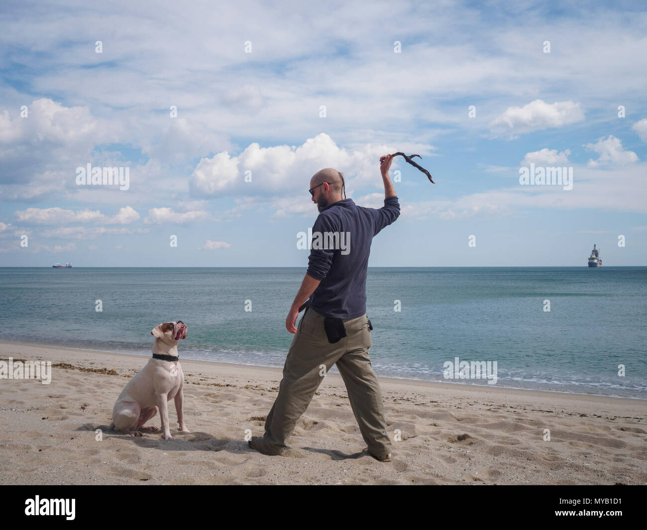 Bärtiger junger Mann und seinem Hund spielen holen am Strand Stockfoto