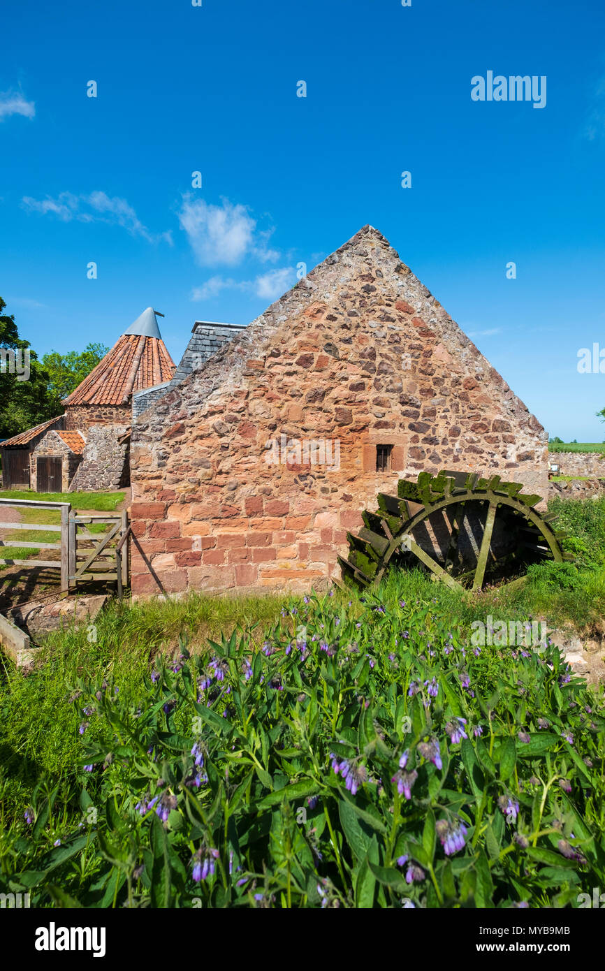 Anzeigen von Preston Mühle mit Wasserrad, mühlteich und doocot am Fluss Tyne in East Lothian, Schottland, Großbritannien Stockfoto