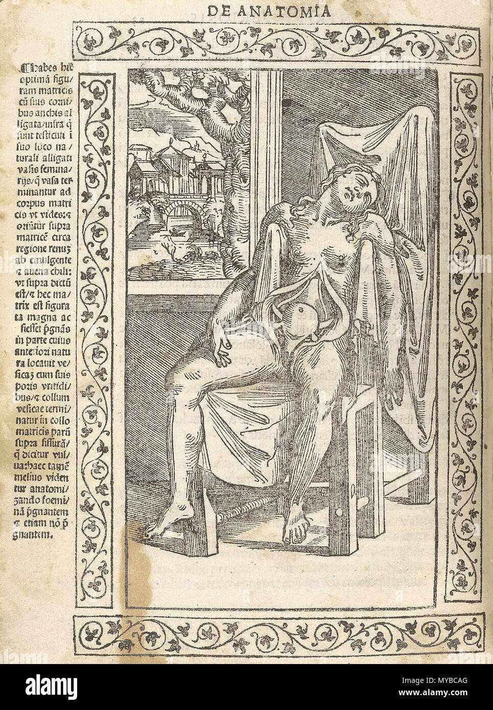 . Englisch: Jacopo Berengario da Carpi,. Isagogae uberrimae perlucidae breues, AC, in anatomiam Humani Corporis eine communi Academia medicorum usitatam. (Bologna: Beneditcus Hector, 1523). Jacopo Berengario da Carpi, auch als Jacobus Berengar Carpensis, Jacopo Barigazzi, oder einfach die Carpus bekannt, wurde in Carpi, Modena, ca. 1460 geboren, der Sohn eines Chirurgen. Während Junge, er war ein Schüler des festgestellt, Drucker und Herausgeber, Aldus Manutius. Er nahm an der medizinischen Schule in Bologna und später unterrichtete Chirurgie in Pavia, und von 1502 bis 1527 er an der Fakultät in Bologna war. Zu verschiedenen Zeiten lebte er in Ferr Stockfoto