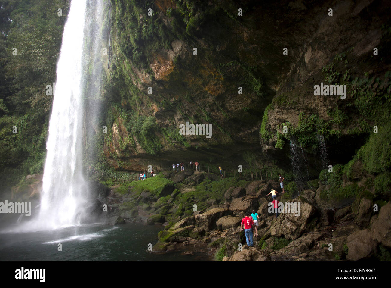 Misol Ha Wasserfall Salto de Agua, Chiapas, Mexiko, 19. Februar 2010. Stockfoto