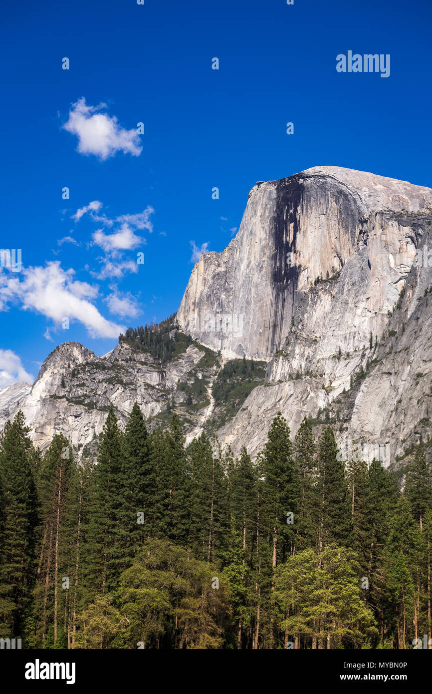 Half Dome, Yosemite-Nationalpark, Kalifornien USA Stockfoto