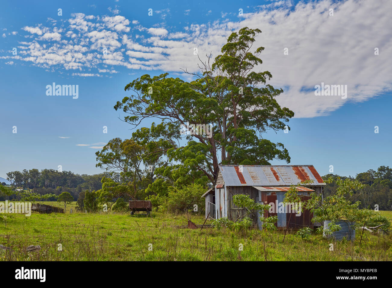 Gebäude aus corrigated Zinn, das durch Gummi Bäume im Outback Australien zu Rost umgeben Stockfoto