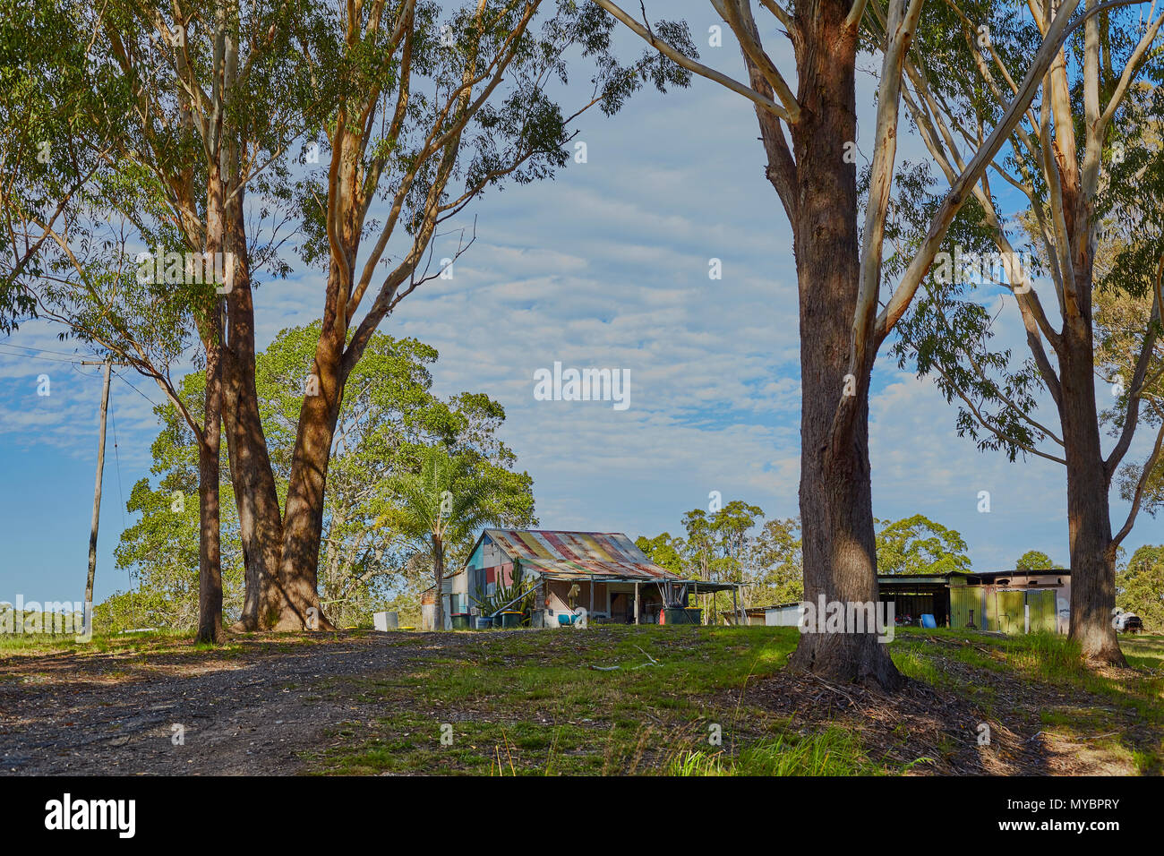 Gebäude aus corrigated Zinn, das durch Gummi Bäume im Outback Australien zu Rost umgeben Stockfoto
