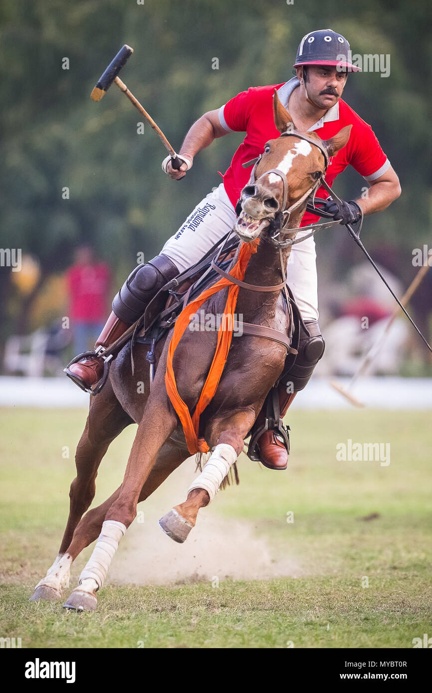 Polo Pony. Player in einem Polo Match. Jaipur, Indien. Stockfoto