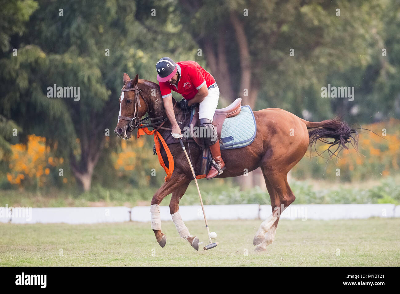 Polo Pony. Player in einem Polo Match. Jaipur, Indien. Stockfoto