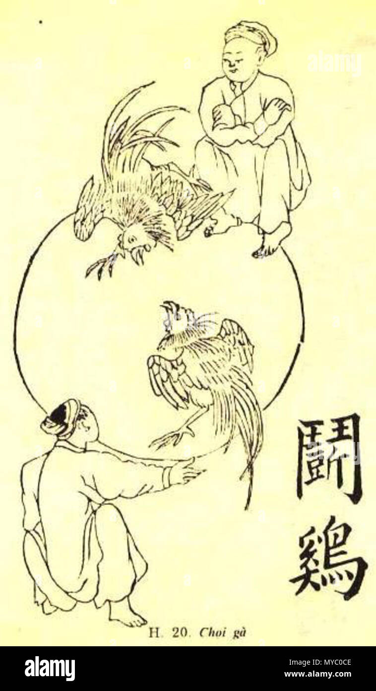 . 中文 （hong kong） ‎: 越南鬥雞版畫. 19. Unbekannt 116 Cockfright Stockfoto