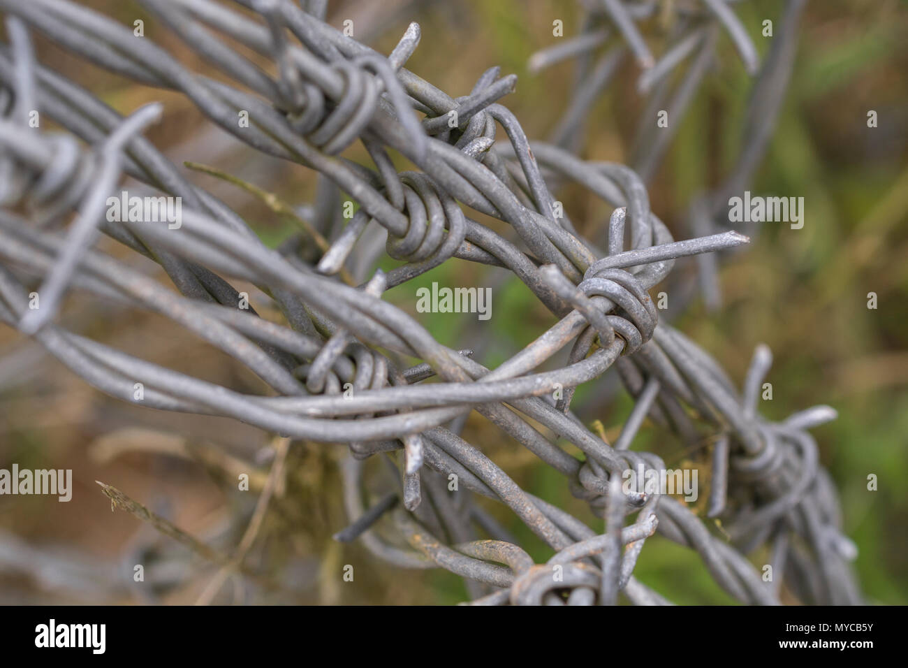 Nahaufnahme eines Stacheldrahtbündels in einem Feld. Abstrakte Metallstruktur. Stockfoto