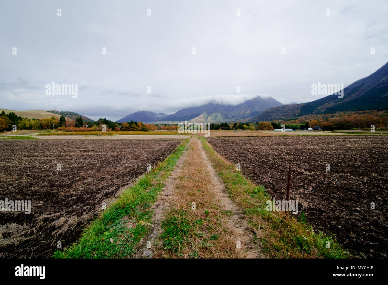 Ranch in Japan yufuin, Beppu-shi, Higashiyama im Herbst, rote Blätter Saison Stockfoto