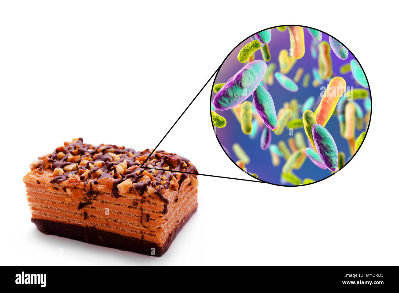 Lebensmittelbedingten Infektionen, konzeptionelle Darstellung. Eine lebensmittelbedingte Infektion ist eine ansteckende Krankheit, die nach der Einnahme von pathogenen Mikroorganismen mit Nahrungsmitteln entwickelt. Viele Bakterien sind Erreger von lebensmittelbedingten Infektionen, einschließlich enterobacteriaceae Bakterien wie Escherichia coli, Shigella sp., Salmonella Sp.. Stockfoto