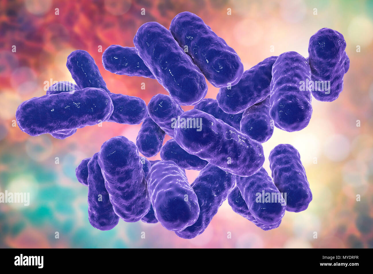 Enterobacter Sp Bakterien Computer Abbildung Diese Sind Gramnegative Bazillen Stabchenformige Bakterien Mitglieder Der Gattung Enterobacter Gibt