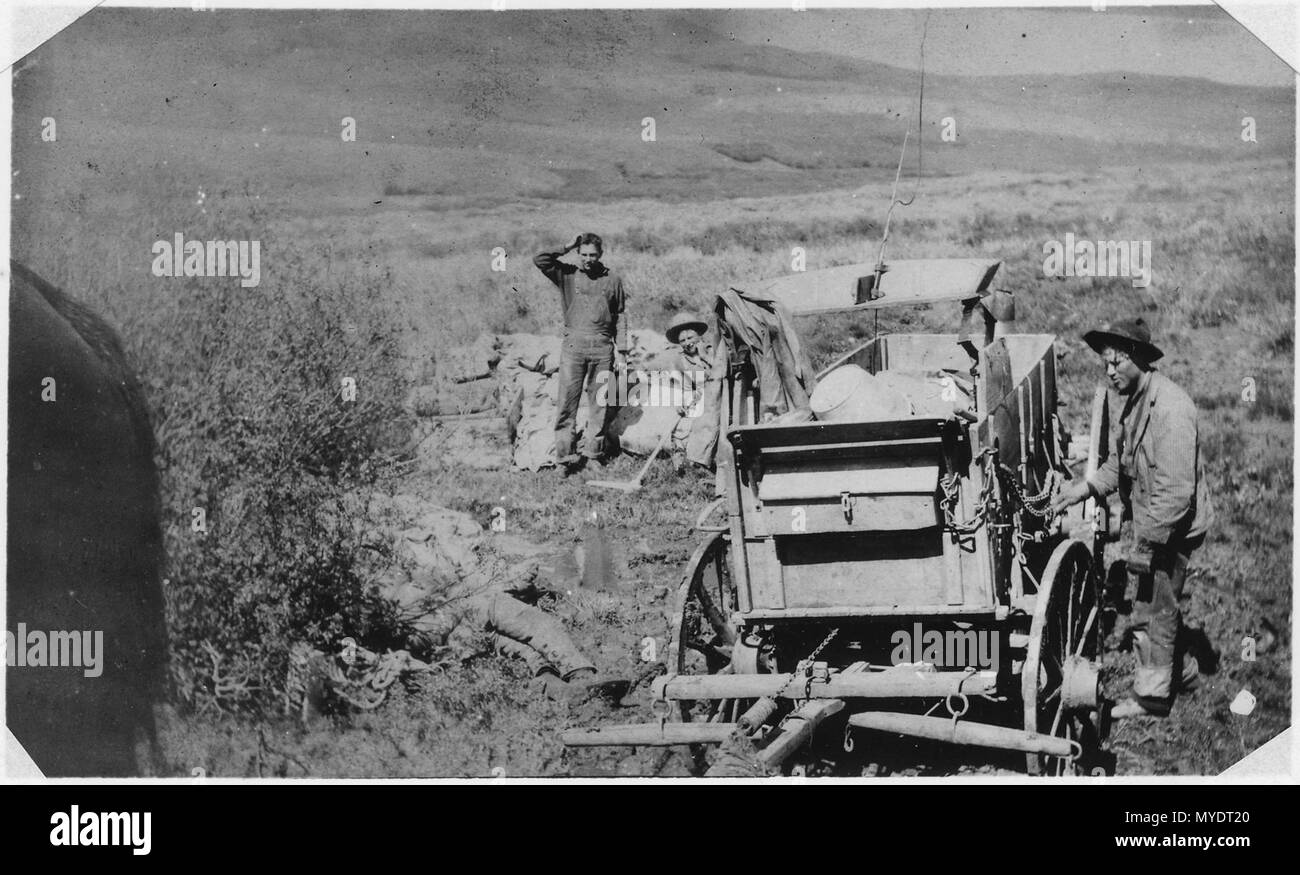 Frühe Holz Umfrage Crew in Kalifornien Park über 1908. Von Links nach Rechts, Ed Parks, Si Michaels (Koch), Archie... - Stockfoto