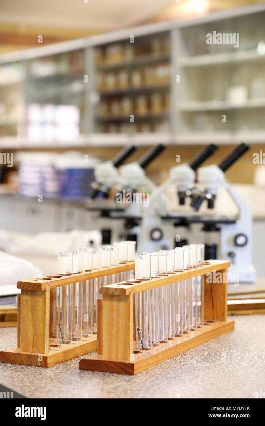 Wissenschaft Wissenschaftler ähnliche Bilder anzeigen Elektronische Mikroskope und Röhrchen in einem Labor oder Abstellraum. starke Bildung Forschung und Medizin Stockfoto