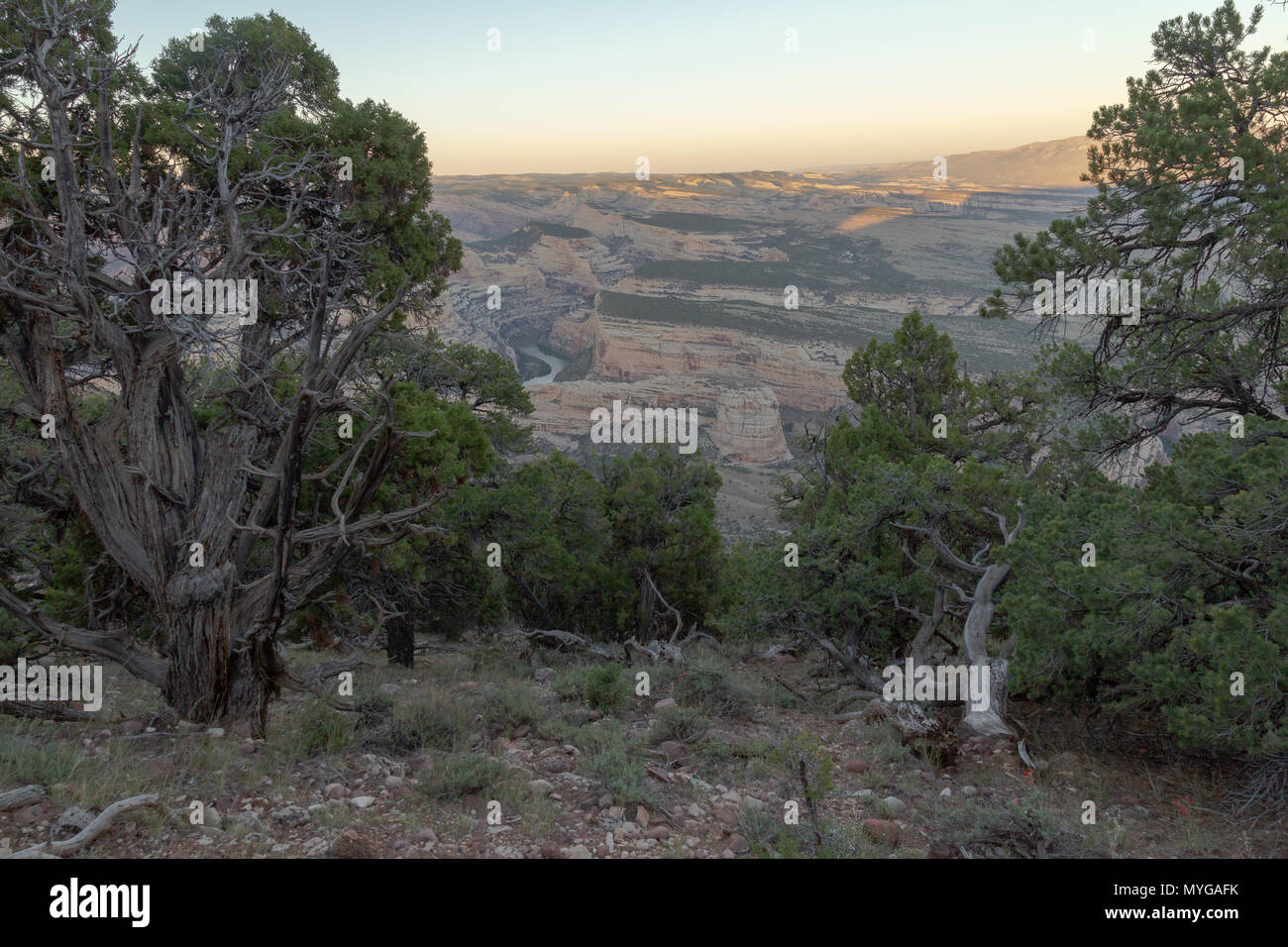 Blick auf Steamboat Rock und Jenny Lind Rock im Dinosaur National Park, Colorado. Stockfoto