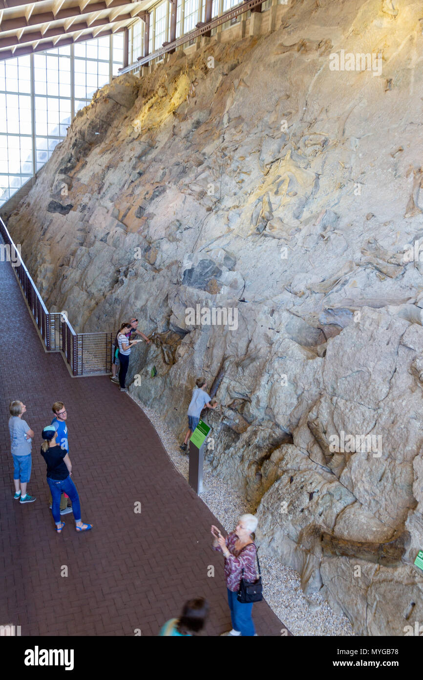 Besucher bewundern die Wand von 1500 Dinosaurier Dinosaurier Fossilien im Steinbruch Besucherzentrum im Dinosaur National Monument in Utah. Stockfoto