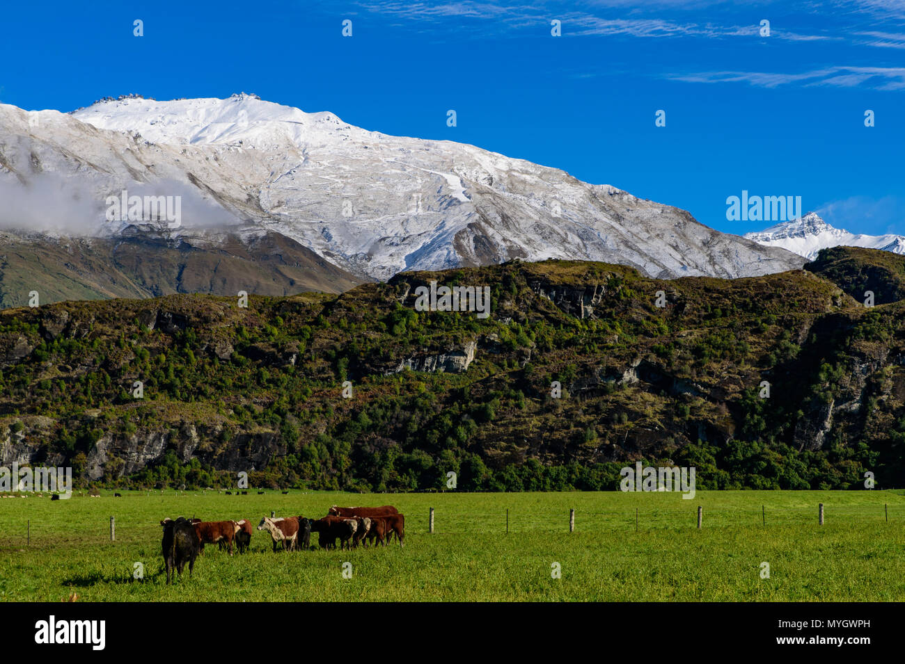 Schnee, Berge und Natur in Matukituki Valley, Mount Aspiring National Park, South Island, Neuseeland Stockfoto